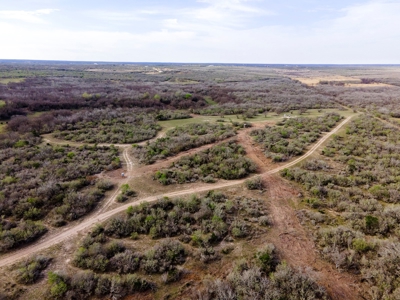 200 High Fenced Acres in Jim Wells County TX - image 25