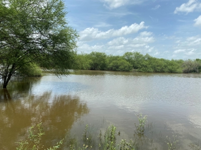 200 High Fenced Acres in Jim Wells County TX - image 1
