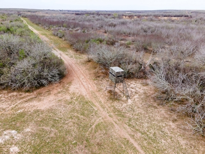 200 High Fenced Acres in Jim Wells County TX - image 37