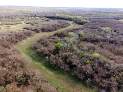 200 High Fenced Acres in Jim Wells County TX - image 28