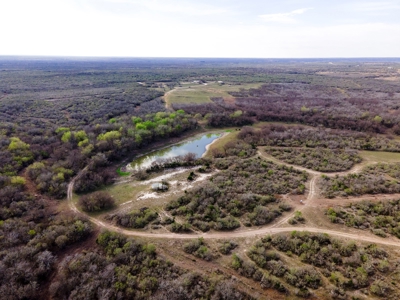 200 High Fenced Acres in Jim Wells County TX - image 24