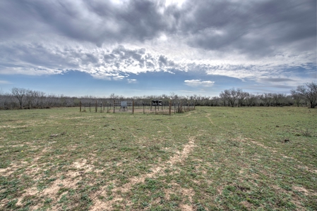 200 High Fenced Acres in Jim Wells County TX - image 12