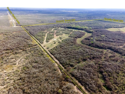 200 High Fenced Acres in Jim Wells County TX - image 27