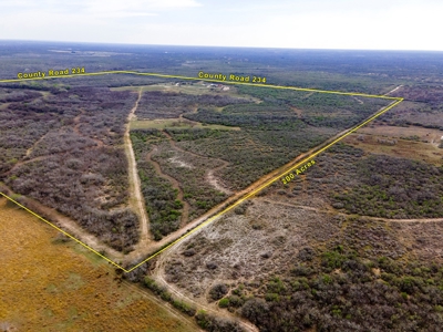 200 High Fenced Acres in Jim Wells County TX - image 33