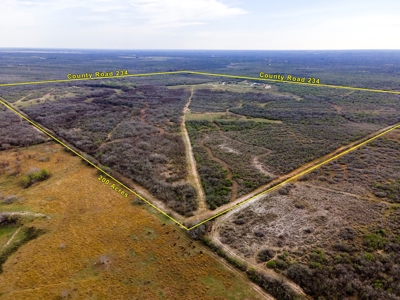 200 High Fenced Acres in Jim Wells County TX - image 31