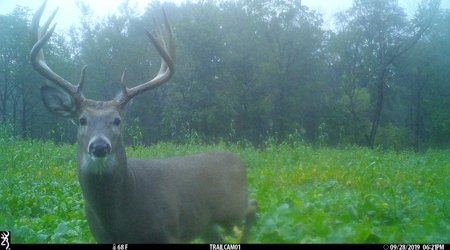 Premium Lake Front World Class Hunting Farm - image 23