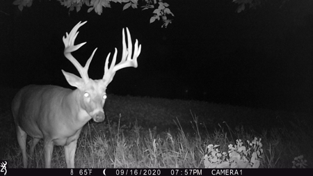 Premium Lake Front World Class Hunting Farm - image 22