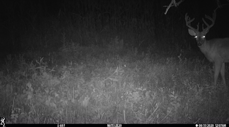 Premium Lake Front World Class Hunting Farm - image 27