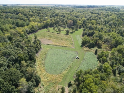 Premium Lake Front World Class Hunting Farm - image 15