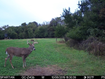 Premium Lake Front World Class Hunting Farm - image 19