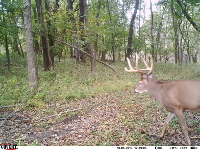 Premium Lake Front World Class Hunting Farm - image 20
