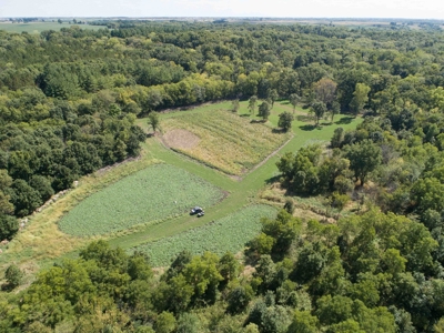 Premium Lake Front World Class Hunting Farm - image 16