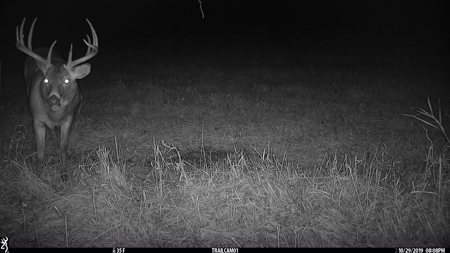 Premium Lake Front World Class Hunting Farm - image 21