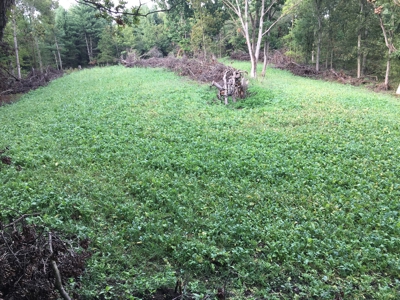Premium Lake Front World Class Hunting Farm - image 7