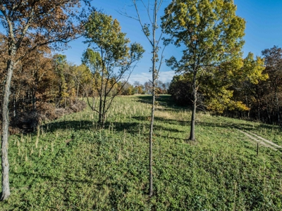 Premium Lake Front World Class Hunting Farm - image 14