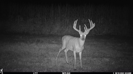 Premium Lake Front World Class Hunting Farm - image 28