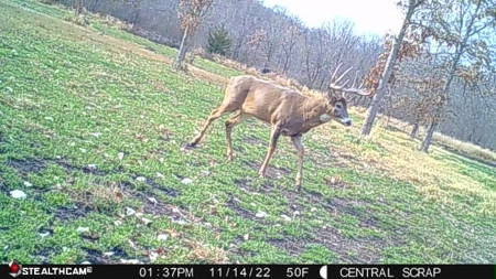 Premium Southern Iowa Hunting with CRP Income - image 27