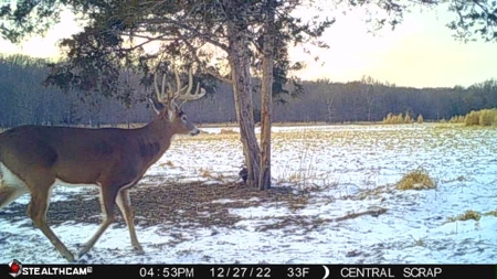 Premium Southern Iowa Hunting with CRP Income - image 31