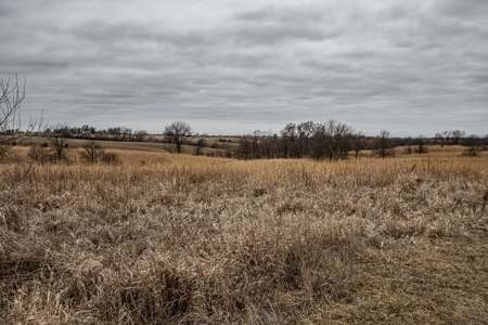 Premium Southern Iowa Hunting with CRP Income - image 43