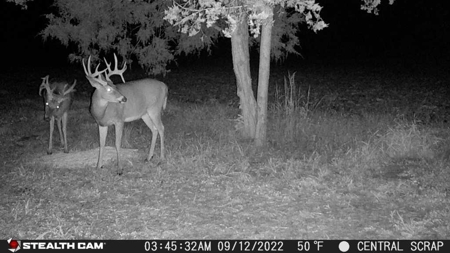 Premium Southern Iowa Hunting with CRP Income - image 19