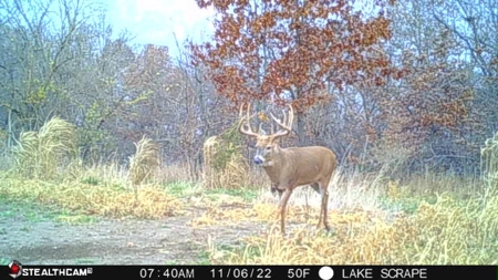 Premium Southern Iowa Hunting with CRP Income - image 26