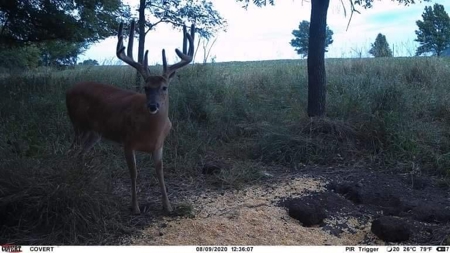 Premium Southern Iowa Hunting with CRP Income - image 29