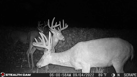 Premium Southern Iowa Hunting with CRP Income - image 18