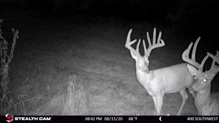 Premium Southern Iowa Hunting with CRP Income - image 30