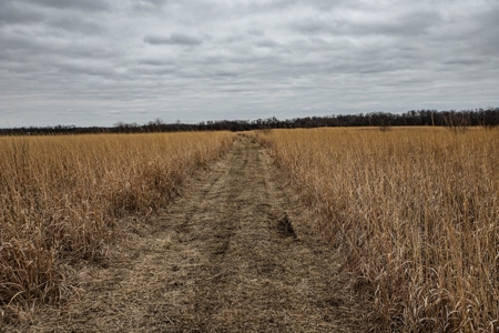 Premium Southern Iowa Hunting with CRP Income - image 45