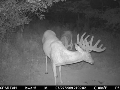 Premium Southern Iowa Hunting with CRP Income - image 5