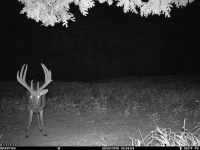 Premium Southern Iowa Hunting with CRP Income - image 14