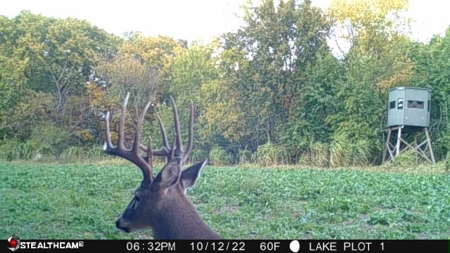 Premium Southern Iowa Hunting with CRP Income - image 25
