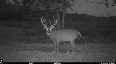 Premium Southern Iowa Hunting with CRP Income - image 20