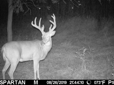 Premium Southern Iowa Hunting with CRP Income - image 7
