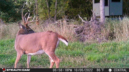 Premium Southern Iowa Hunting with CRP Income - image 24