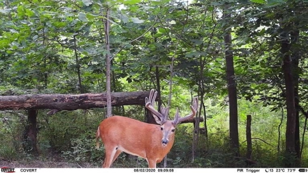 Premium Southern Iowa Hunting with CRP Income - image 28