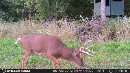 Premium Southern Iowa Hunting with CRP Income - image 21