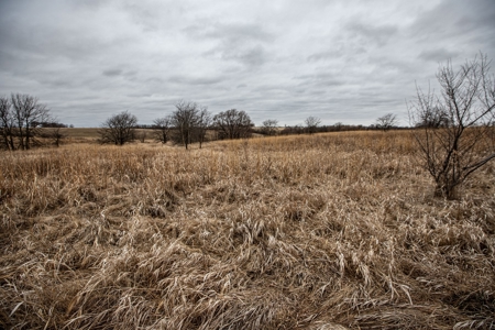 Premium Southern Iowa Hunting with CRP Income - image 44