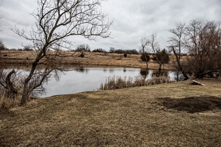 Premium Southern Iowa Hunting with CRP Income - image 40