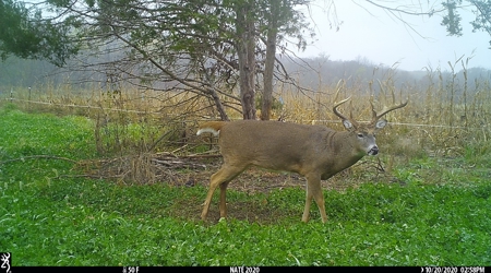 Premium Southern Iowa Hunting with CRP Income - image 22
