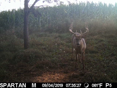 Premium Southern Iowa Hunting with CRP Income - image 10