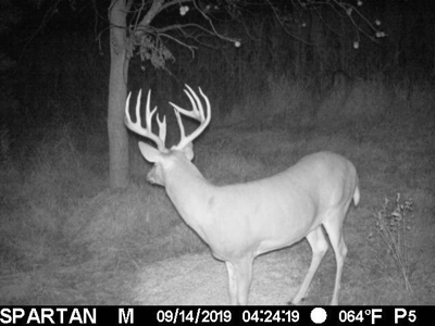 Premium Southern Iowa Hunting with CRP Income - image 12