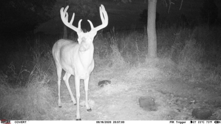 Premium Southern Iowa Hunting with CRP Income - image 23