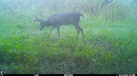 Premium Southern Iowa Hunting with CRP Income - image 17