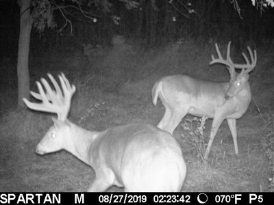 Premium Southern Iowa Hunting with CRP Income - image 8