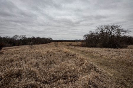 Premium Southern Iowa Hunting with CRP Income - image 41