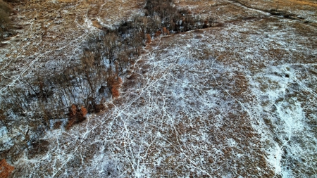 Decatur County, Iowa Hunting Land For Sale with CRP Income - image 33