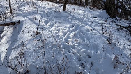 Decatur County, Iowa Hunting Land For Sale with CRP Income - image 42