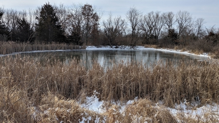 Decatur County, Iowa Hunting Land For Sale with CRP Income - image 38