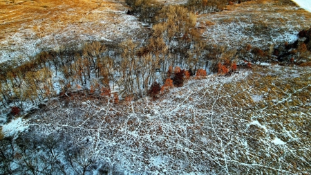 Decatur County, Iowa Hunting Land For Sale with CRP Income - image 29